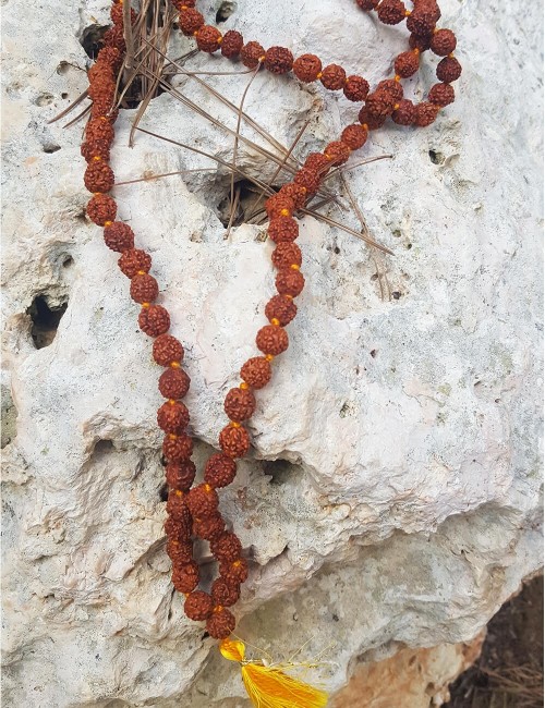 Rudraksha-seed-mala-ethnic-vegetable-necklace